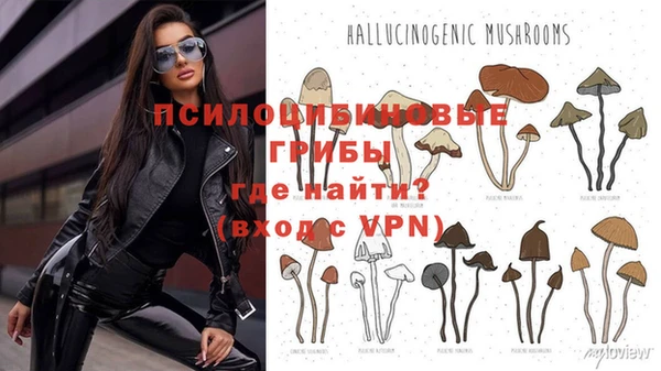 героин Богданович