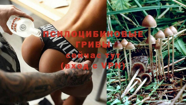 каннабис Белокуриха